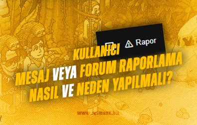 Kullanıcı Mesaj veya Forum Raporlama: Nasıl ve Neden Yapılmalı?